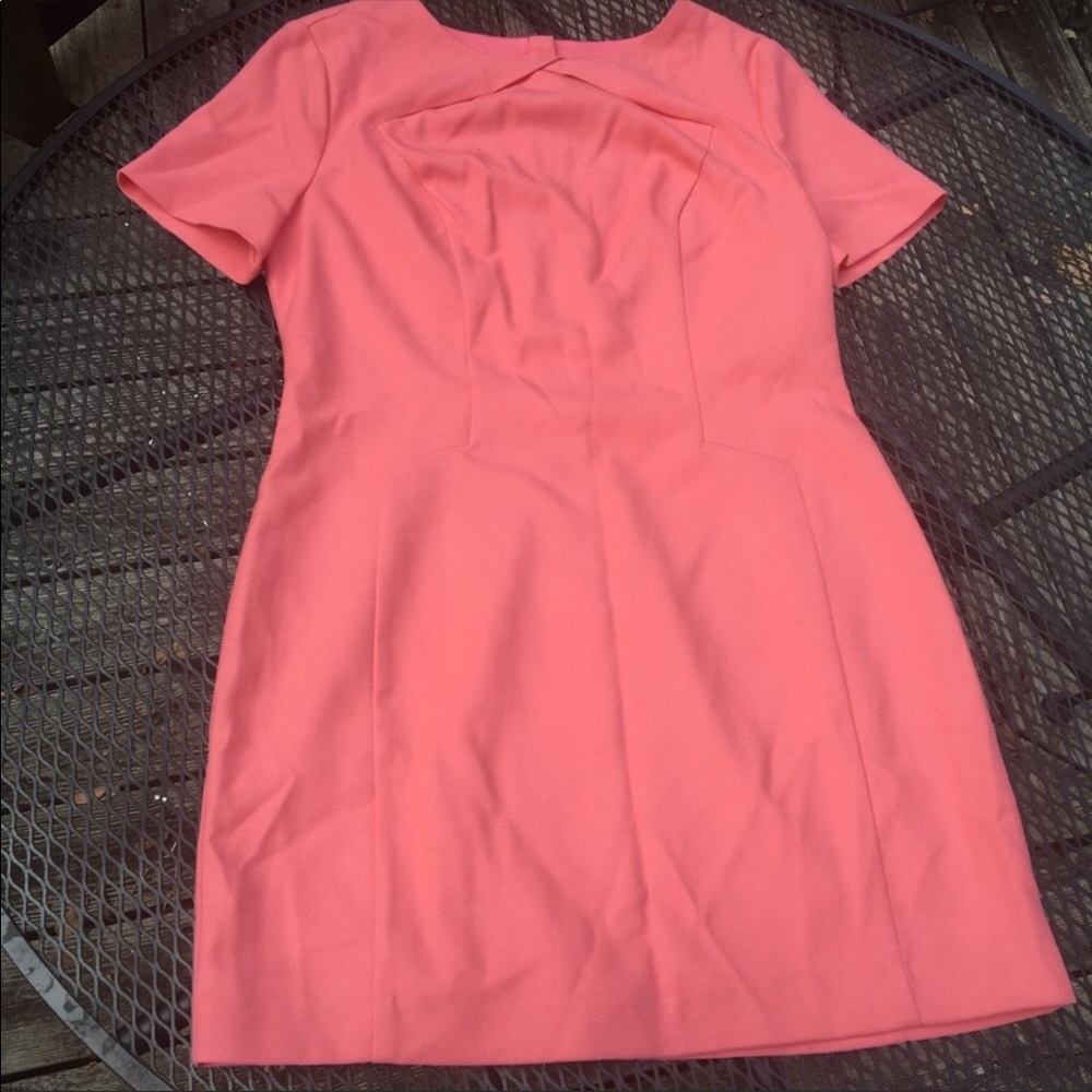 Petite Sheath Dress